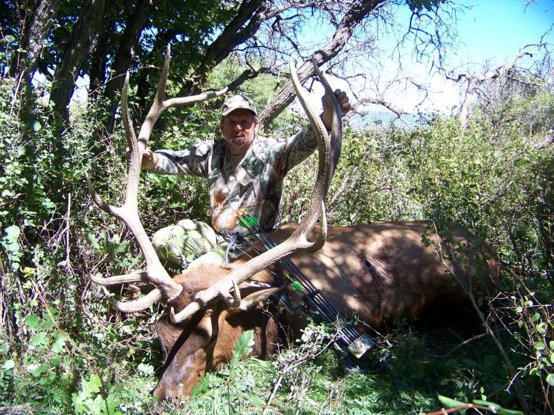 AR10-Floyd's Elk 2 9-16-2010s